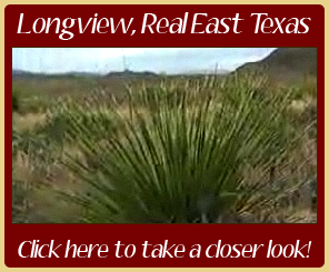Information Video about Longview Texas